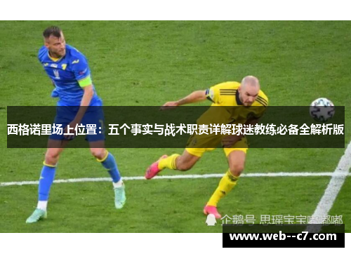 西格诺里场上位置：五个事实与战术职责详解球迷教练必备全解析版