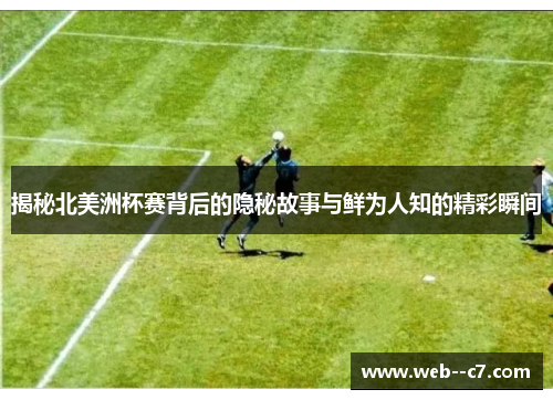 揭秘北美洲杯赛背后的隐秘故事与鲜为人知的精彩瞬间