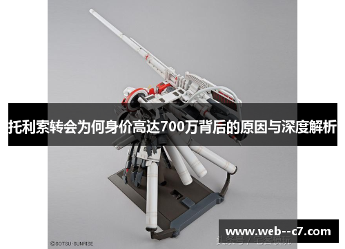 托利索转会为何身价高达700万背后的原因与深度解析