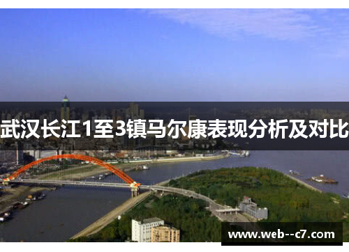 武汉长江1至3镇马尔康表现分析及对比