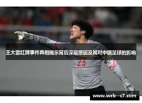 王大雷红牌事件真相揭示背后深层原因及其对中国足球的影响